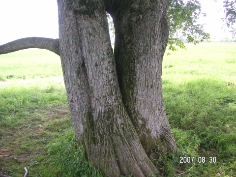 s_PICT0561.jpg